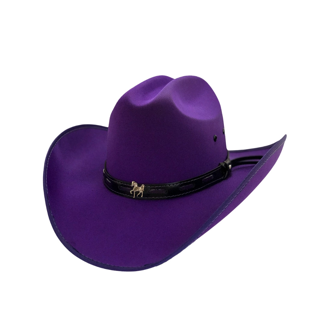 SOMBRERO TEXANO PURPURA